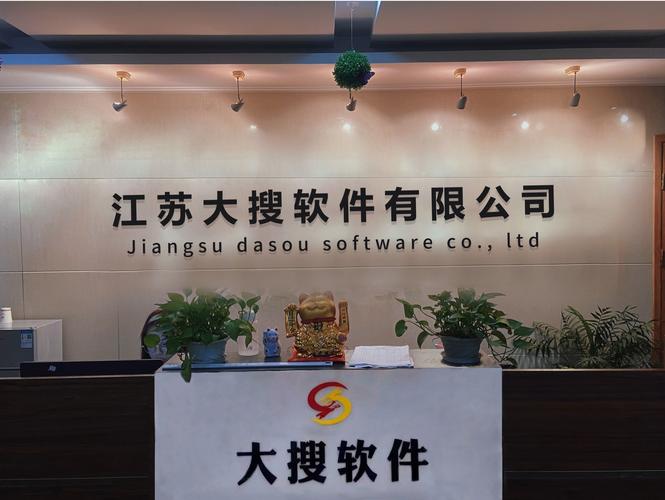 江苏大搜软件 网络与信息安全领域的坚实守护者